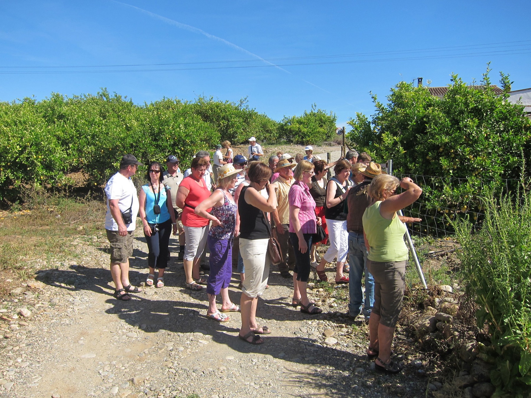 International visitors enjoying the finca