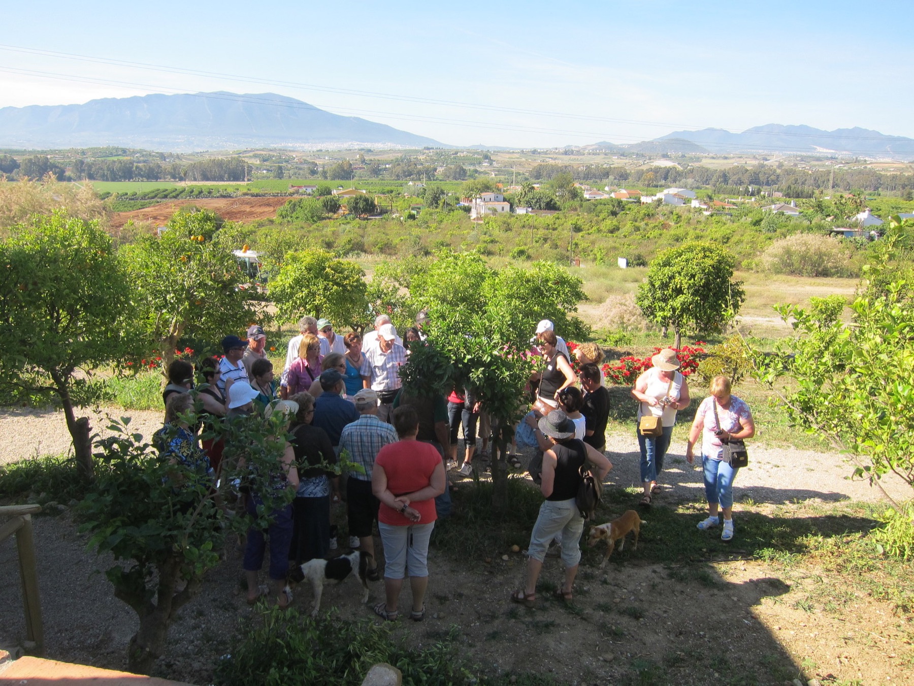 Visitors gathered around Juanito during the experience