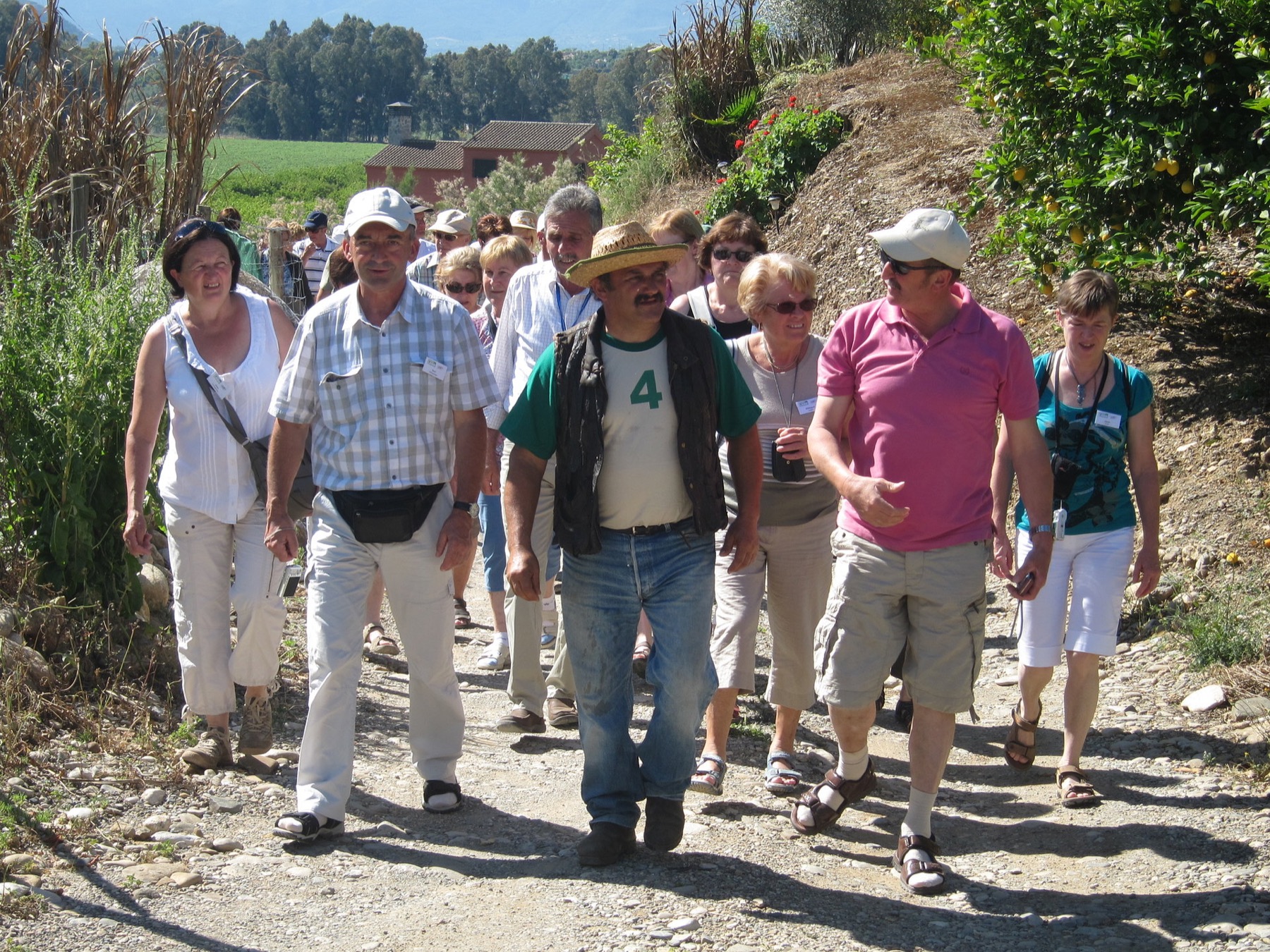 Juanito Orange walking through the citrus farm with a group of visitors
